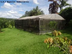 Fazenda / Sítio / Chácara com 5 Quartos à venda, 500m² no ITINGA, Sorocaba - Foto 3