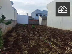 Terreno / Lote / Condomínio à venda, 250m² no Santa Cruz, Cascavel - Foto 3