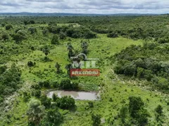 Fazenda / Sítio / Chácara com 4 Quartos à venda, 4259200m² no Zona Rural, Bom Jardim de Goiás - Foto 9