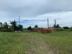 Terreno / Lote Comercial para alugar, 26000m² no Catuana, Caucaia - Foto 12