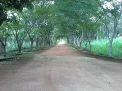 Terreno / Lote / Condomínio à venda, 1000m² no Balneário Quintas do Lago, Cláudio - Foto 7