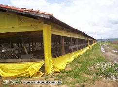 Fazenda / Sítio / Chácara com 4 Quartos à venda, 242000m² no Zona Rural, Itapetininga - Foto 5