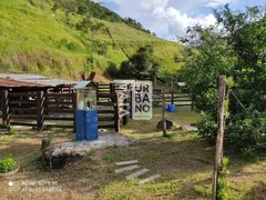 Fazenda / Sítio / Chácara com 4 Quartos à venda, 68000m² no Ribeirão de São Joaquim, Quatis - Foto 2