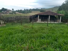 Fazenda / Sítio / Chácara com 3 Quartos à venda, 300m² no Boa Esperança, Rio Bonito - Foto 7