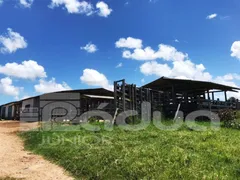 Fazenda / Sítio / Chácara com 4 Quartos à venda, 1171675m² no Centro, Salgado - Foto 10