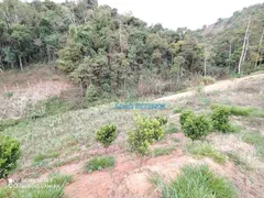 Fazenda / Sítio / Chácara com 2 Quartos à venda, 152000m² no Serra, Teresópolis - Foto 43