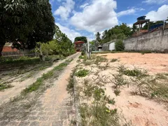 Fazenda / Sítio / Chácara com 5 Quartos para venda ou aluguel, 2500m² no Cidade Operaria, São Luís - Foto 9