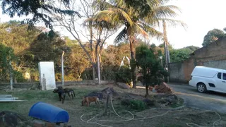 Fazenda / Sítio / Chácara com 2 Quartos à venda, 300m² no Jardim Monte Belo I, Campinas - Foto 6