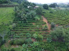 Fazenda / Sítio / Chácara com 2 Quartos à venda, 6260m² no Enseada de Jacaraípe, Serra - Foto 5