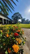 Fazenda / Sítio / Chácara com 2 Quartos à venda, 100m² no Vila Queiroz, Limeira - Foto 6