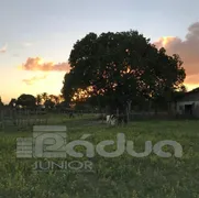 Fazenda / Sítio / Chácara com 4 Quartos à venda, 302500m² no Zona Rural, Itaporanga d'Ajuda - Foto 22