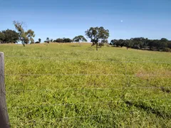 Fazenda / Sítio / Chácara com 3 Quartos à venda, 90m² no Zona Rural, Jaraguá - Foto 15