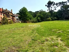 Terreno / Lote / Condomínio à venda, 1294m² no Altos Pinheiros, Canela - Foto 1