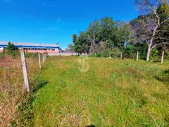 Terreno / Lote / Condomínio à venda, 1011m² no Cristo Rei, São Leopoldo - Foto 4