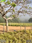 Fazenda / Sítio / Chácara com 5 Quartos à venda, 14907200m² no Zona Rural, Santa Cruz de Goiás - Foto 43