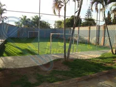 Fazenda / Sítio / Chácara com 3 Quartos à venda, 1700m² no Parque Residencial Aeroporto, Limeira - Foto 4
