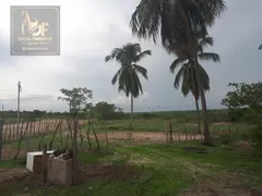 Fazenda / Sítio / Chácara com 3 Quartos à venda, 27000m² no Trairas, Macaíba - Foto 1