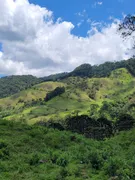 Fazenda / Sítio / Chácara à venda, 290000m² no Centro, Piranguçu - Foto 6