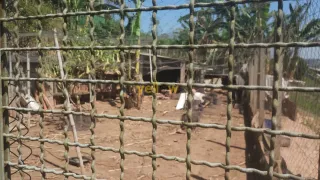 Fazenda / Sítio / Chácara com 2 Quartos para venda ou aluguel, 407m² no Chácaras Copaco, Arujá - Foto 39