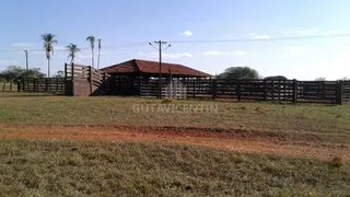 Fazenda / Sítio / Chácara com 4 Quartos à venda, 2704m² no Centro, Santa Vitória - Foto 5