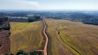 Fazenda / Sítio / Chácara com 1 Quarto à venda, 5000m² no Centro, Chapecó - Foto 4