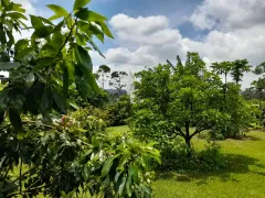 Fazenda / Sítio / Chácara com 4 Quartos à venda, 900m² no Campininha Canguera, São Roque - Foto 62