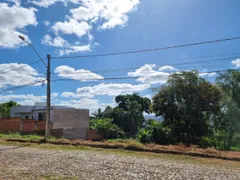Terreno / Lote / Condomínio à venda, 300m² no Feitoria, São Leopoldo - Foto 14