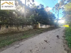 Fazenda / Sítio / Chácara à venda, 5000m² no Barro Preto, São José dos Pinhais - Foto 1