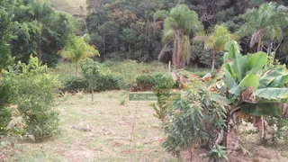 Fazenda / Sítio / Chácara com 2 Quartos à venda, 60500m² no , Cunha - Foto 12