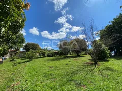 Fazenda / Sítio / Chácara com 3 Quartos à venda, 5999m² no Parque Itaipu, São Carlos - Foto 24