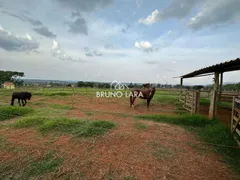 Fazenda / Sítio / Chácara com 4 Quartos à venda, 400m² no Vale Do Amanhecer, Igarapé - Foto 55