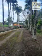 Fazenda / Sítio / Chácara com 3 Quartos à venda, 60500m² no Iguape, Iguape - Foto 25