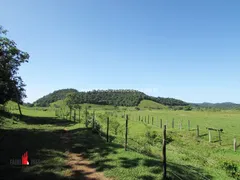 Fazenda / Sítio / Chácara com 3 Quartos à venda, 2081200m² no Zona Rural, Rio Bonito - Foto 11