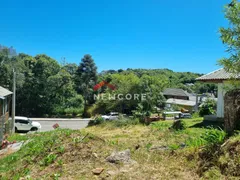 Terreno / Lote / Condomínio à venda, 396m² no Leodoro de Azevedo, Canela - Foto 6