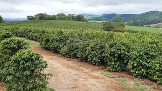 Fazenda / Sítio / Chácara à venda, 2137828m² no Zona Rural, Turvolândia - Foto 1