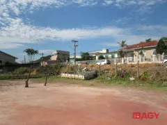 Terreno / Lote Comercial para alugar, 1802m² no Morro da Bina, Biguaçu - Foto 3