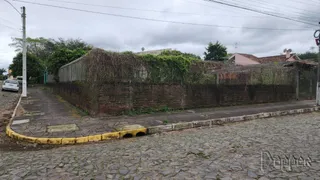 Terreno / Lote Comercial à venda no Arroio da Manteiga, São Leopoldo - Foto 2