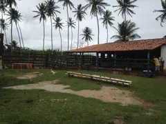 Fazenda / Sítio / Chácara com 3 Quartos à venda, 25000m² no Centro, Ceará Mirim - Foto 6