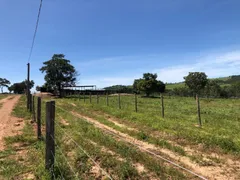 Fazenda / Sítio / Chácara com 4 Quartos à venda, 40m² no , Rianápolis - Foto 16