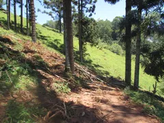 Fazenda / Sítio / Chácara com 1 Quarto à venda, 150000m² no Rural, Extrema - Foto 17