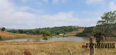 Fazenda / Sítio / Chácara com 7 Quartos à venda, 320m² no Zona Rural, Bela Vista de Goiás - Foto 4