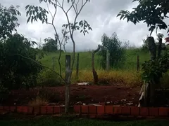 Fazenda / Sítio / Chácara com 2 Quartos à venda, 80m² no Area Rural de Itapetininga, Itapetininga - Foto 2