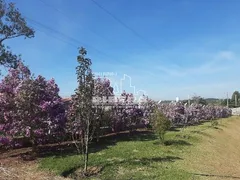 Fazenda / Sítio / Chácara com 3 Quartos à venda, 250m² no Cercado, Aracoiaba da Serra - Foto 2