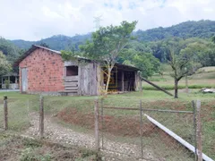 Fazenda / Sítio / Chácara com 3 Quartos à venda, 24750m² no Araponguinhas, Timbó - Foto 17