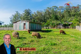 Fazenda / Sítio / Chácara com 2 Quartos à venda, 120m² no Campo da Brazina, Araricá - Foto 34