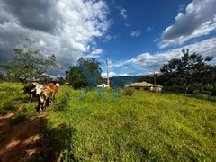 Fazenda / Sítio / Chácara com 3 Quartos à venda, 300m² no Zona Rural, São Sebastião do Oeste - Foto 27