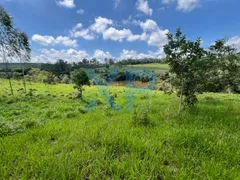 Fazenda / Sítio / Chácara com 2 Quartos à venda, 60m² no Zona Rural, São Sebastião do Oeste - Foto 32