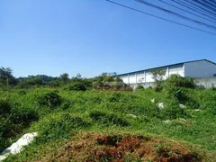 Terreno / Lote Comercial à venda, 20000m² no Rio Abaixo, Itaquaquecetuba - Foto 31