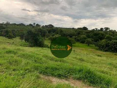 Fazenda / Sítio / Chácara à venda, 1064800m² no Zona Rural, Itapirapuã - Foto 6