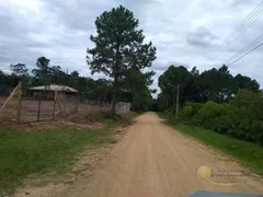 Terreno / Lote / Condomínio à venda no Aberta dos Morros, Porto Alegre - Foto 9